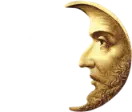 Brasserie De Halve Maan