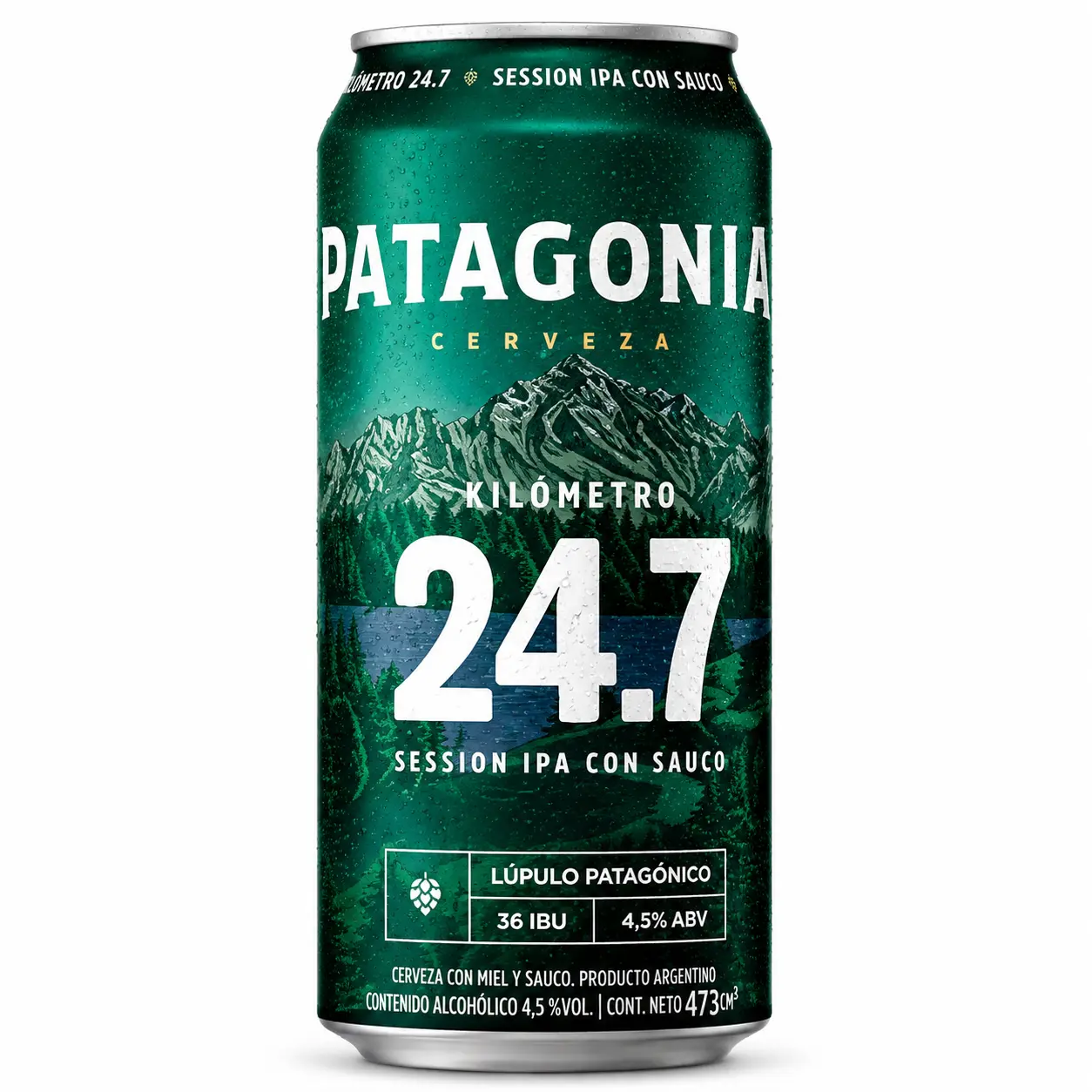 Patagonia 24.7