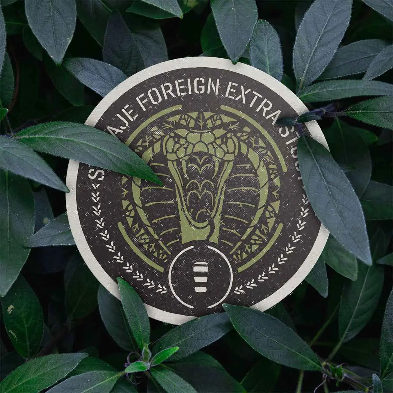 Salvaje Foreign Extra Stout