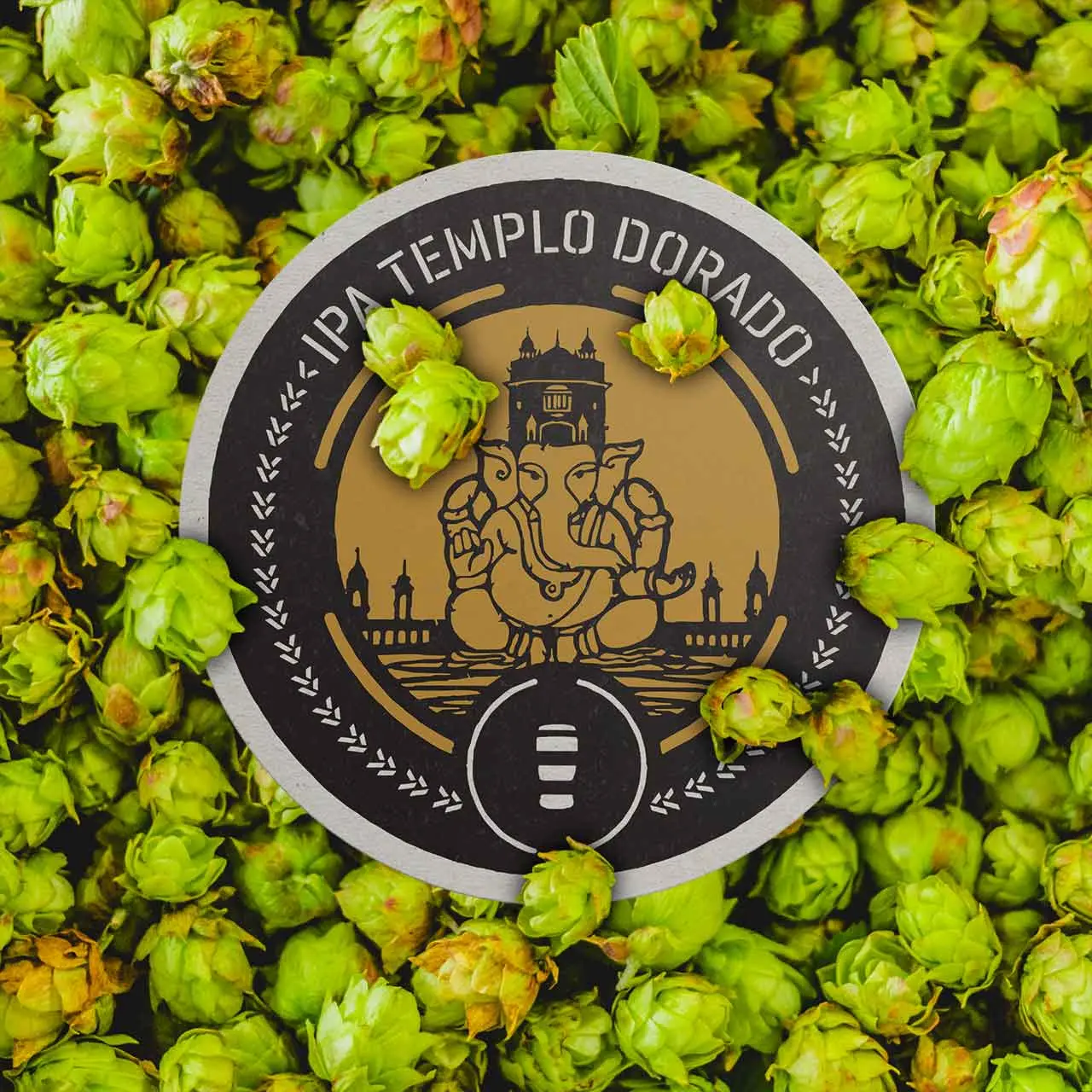 IPA Templo Dorado